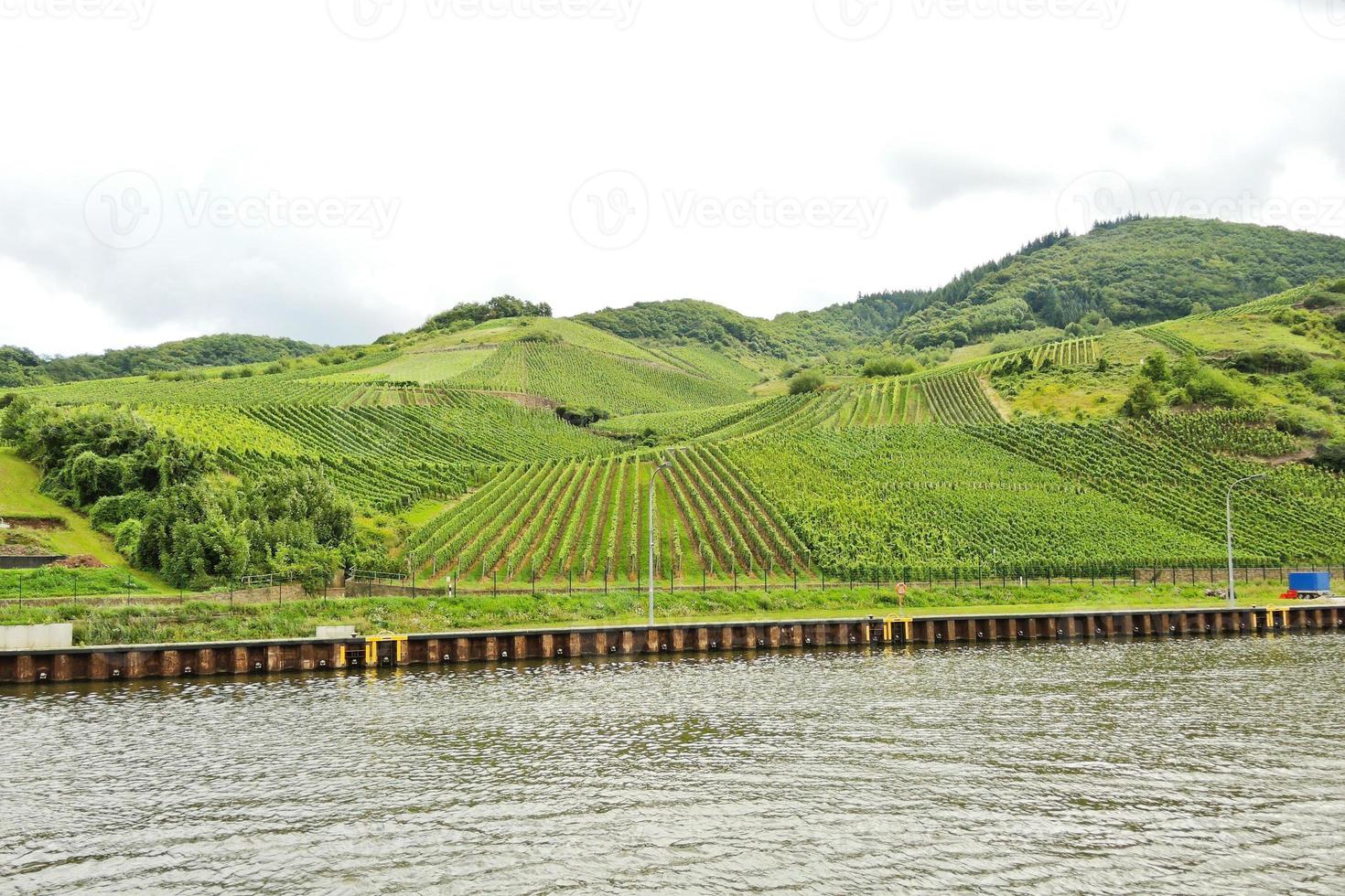 vid vatten av mosel flod och vingårdar foto