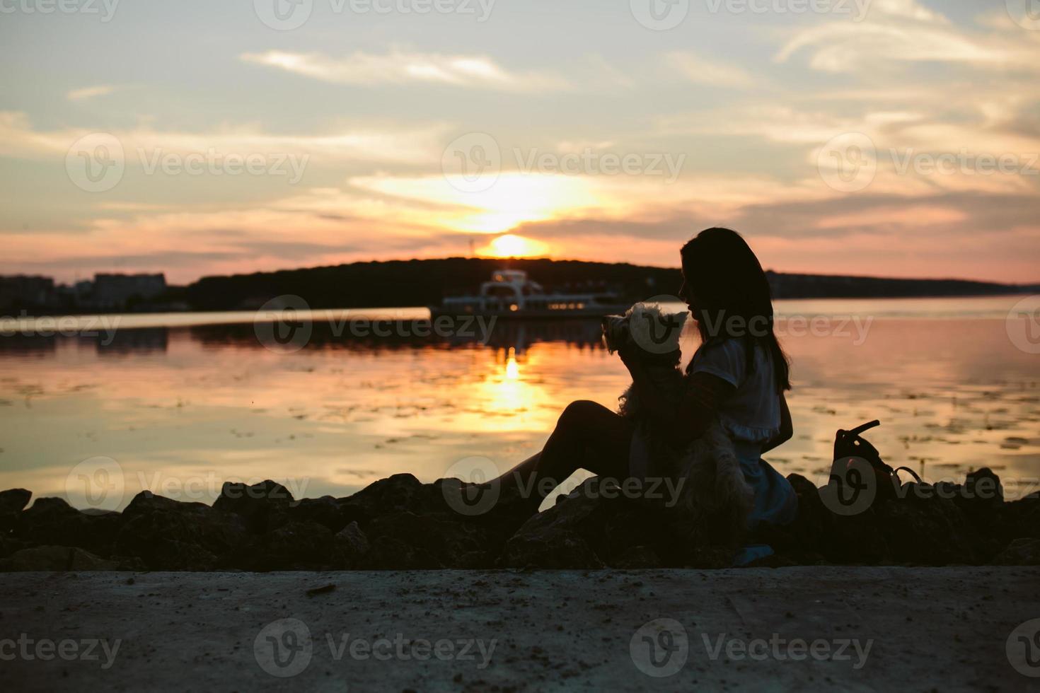 flicka och hund på de sjö foto