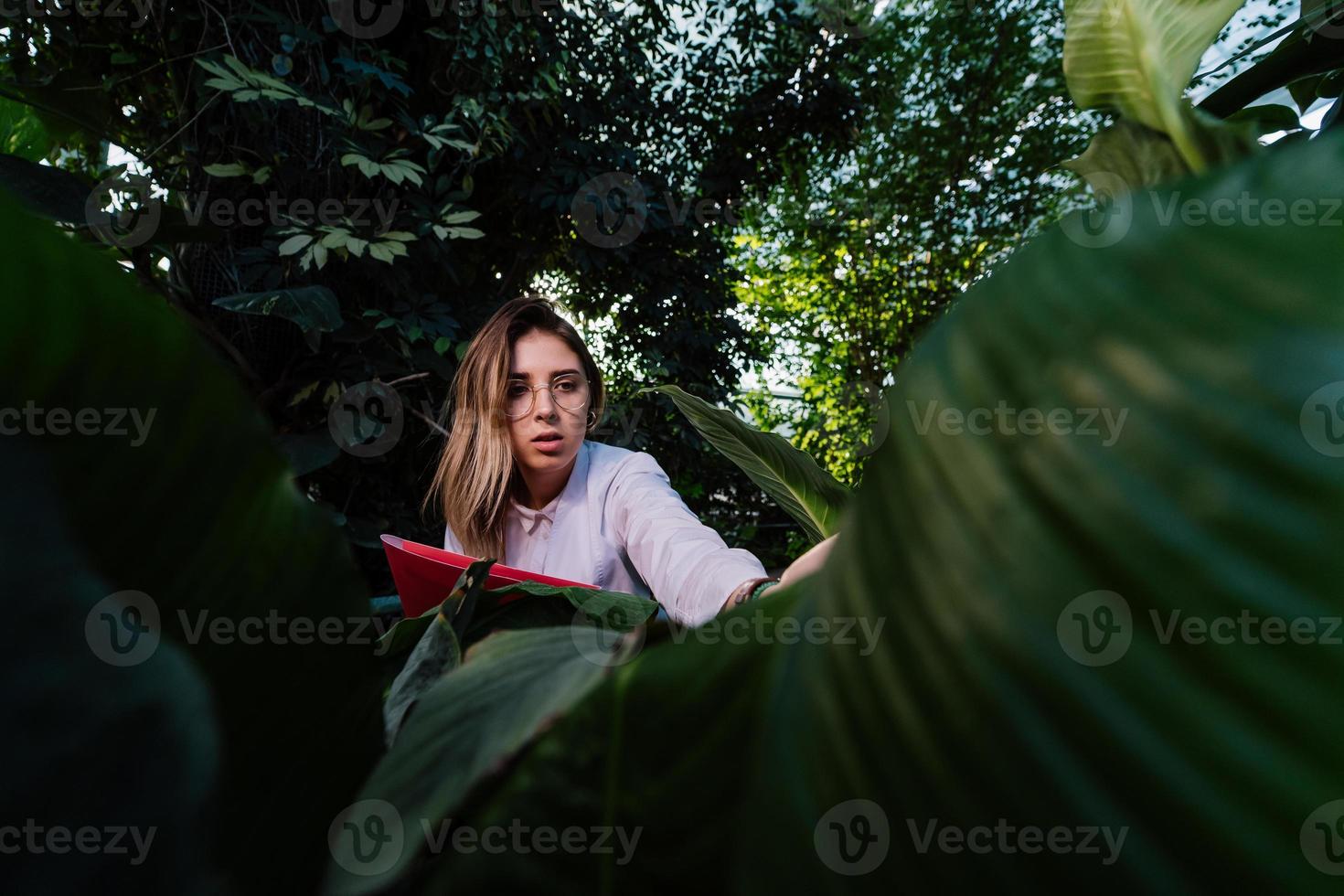 ung jordbruks ingenjör undersöker löv i växthus foto