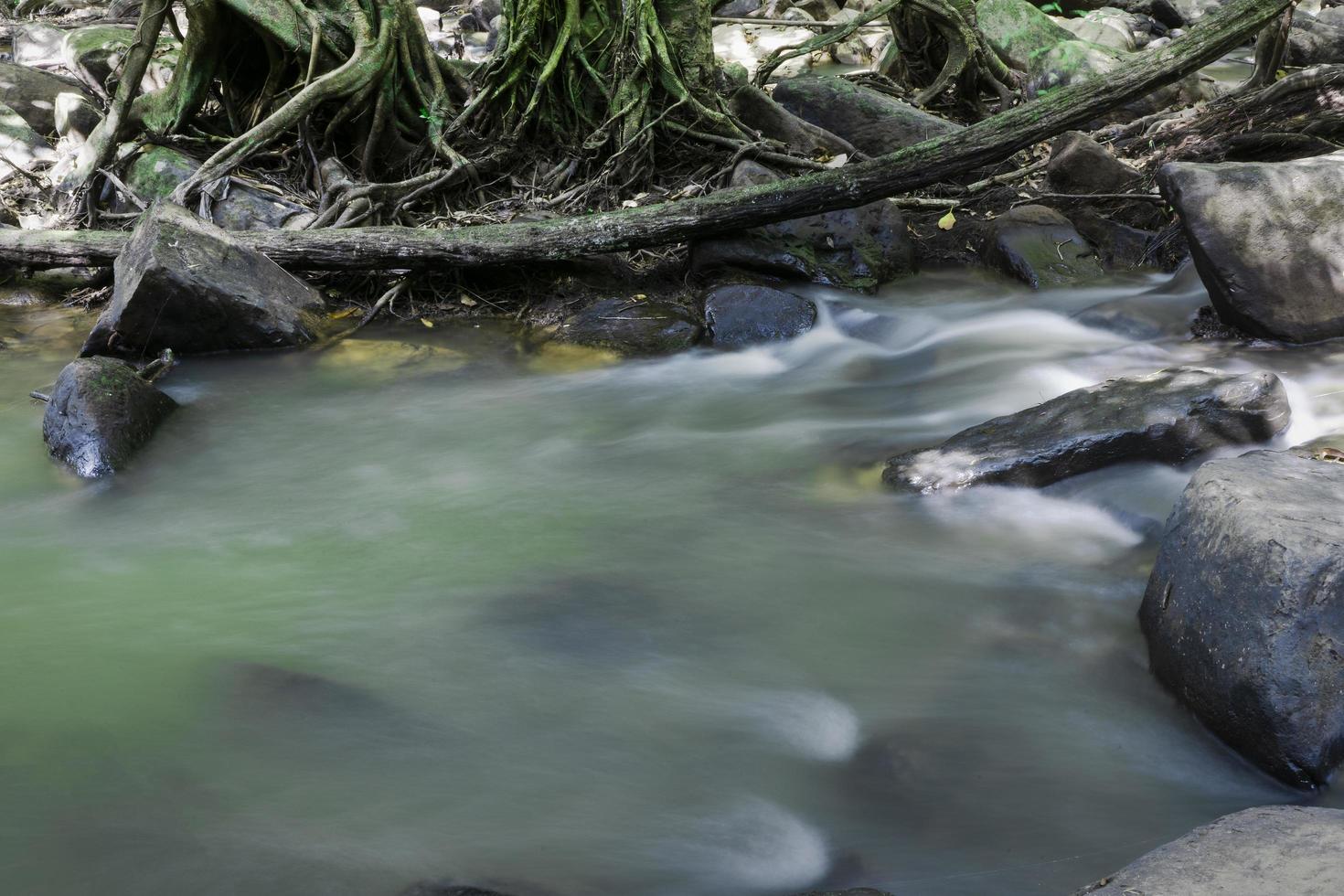 skog vattenfall eller skog ström. vatten den där falls från de sten backe. foto