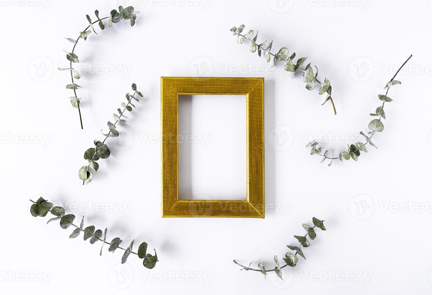 en gyllene ram för kopia Plats och grön löv av eukalyptus runt om på en vit bakgrund. kopia Plats foto