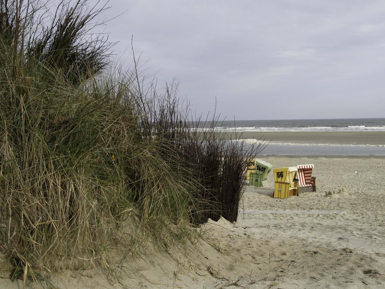 langeoog ön i Nordsjön foto