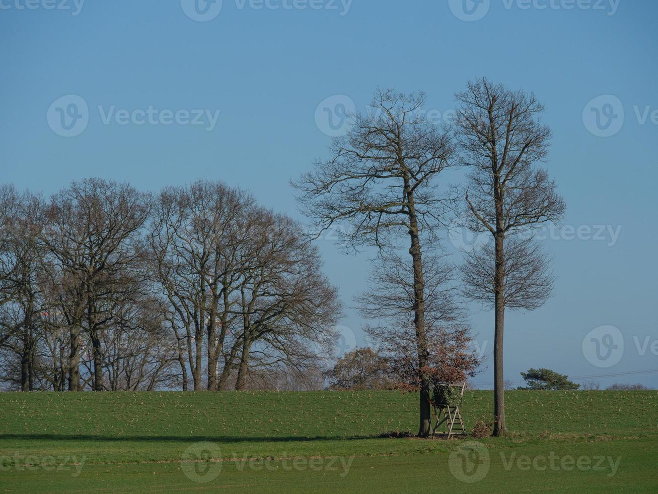 de tysk muensterland foto