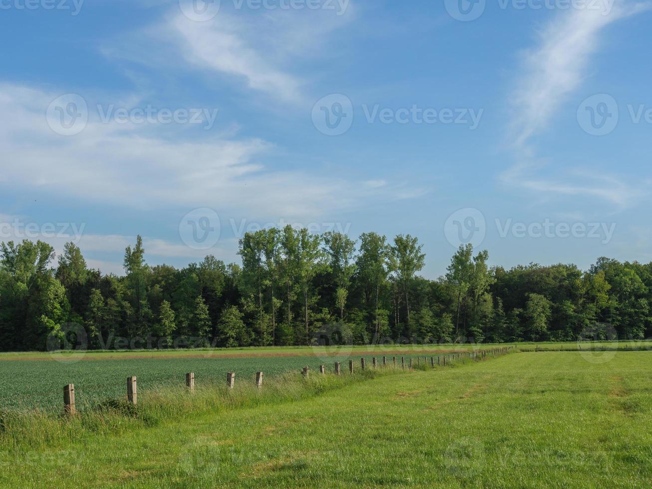 sommar tid i Westfalen foto