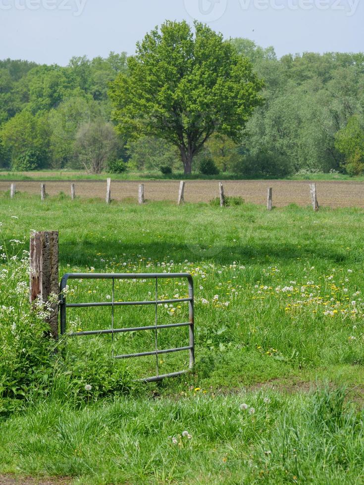 vandring i Westfalen nära duellmän foto