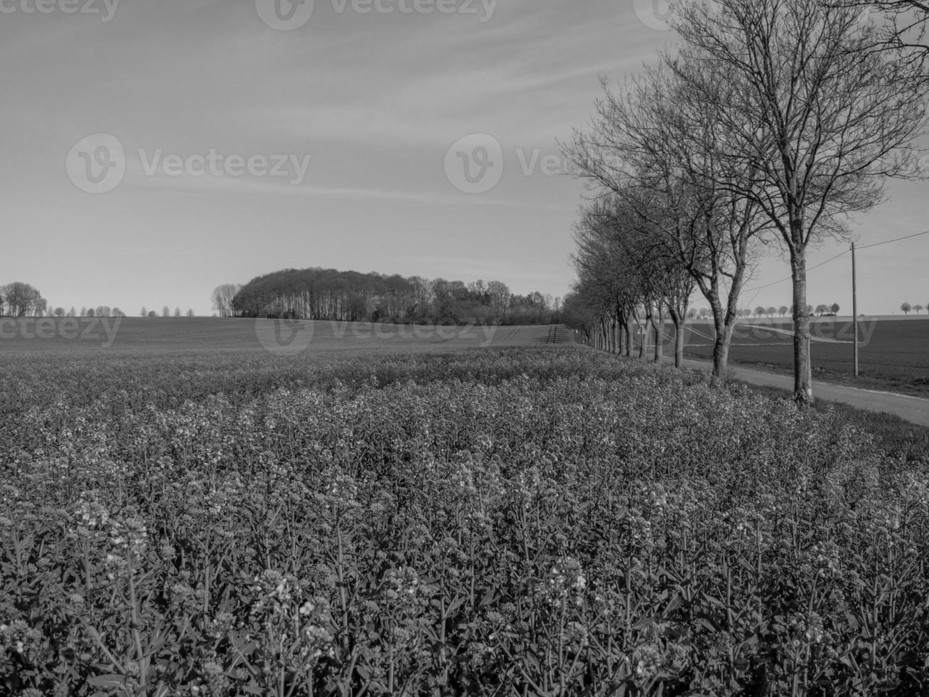 westfaler landskap nära bilderbeck foto