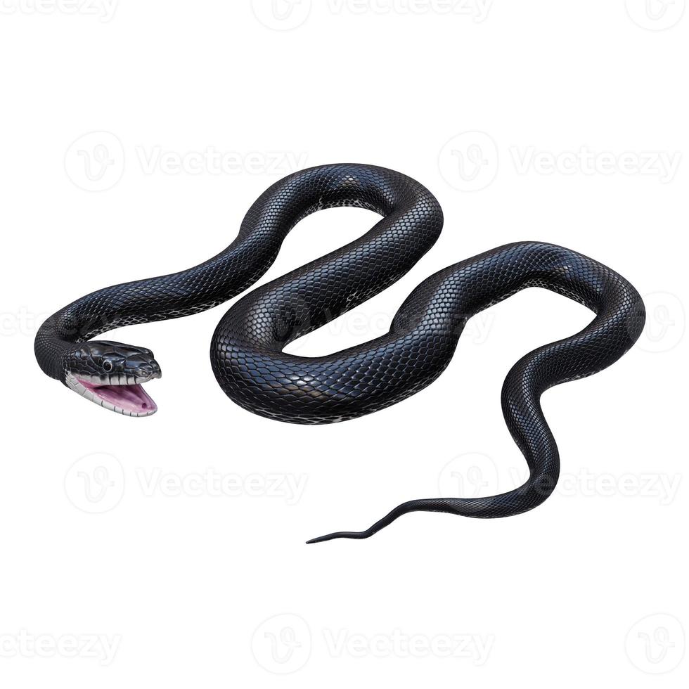 svart råtta orm 3d illustration. foto