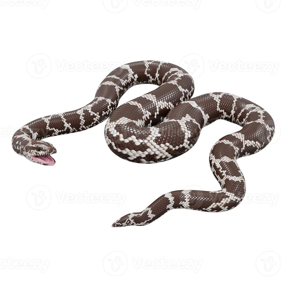 kenyan sand boa 3d illustration. foto