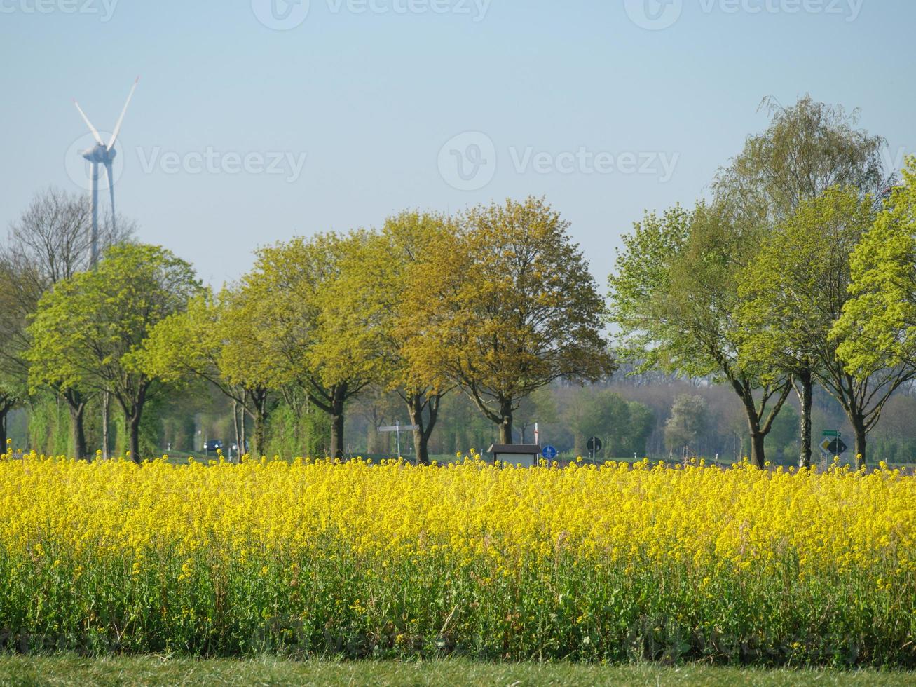 vår tid nära stadtlohn i Tyskland foto