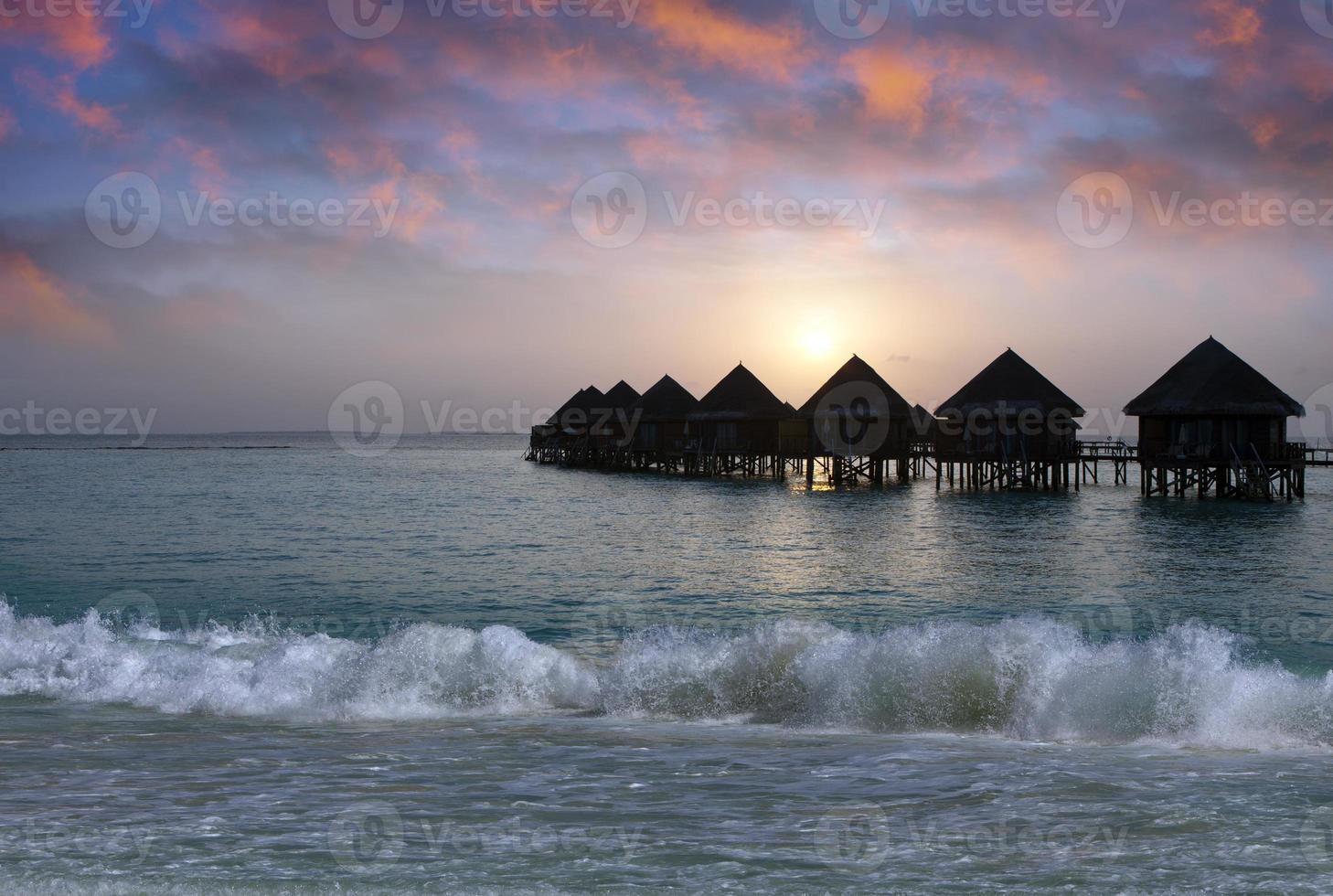 villhögar på vattnet vid solnedgången. maldiverna. foto