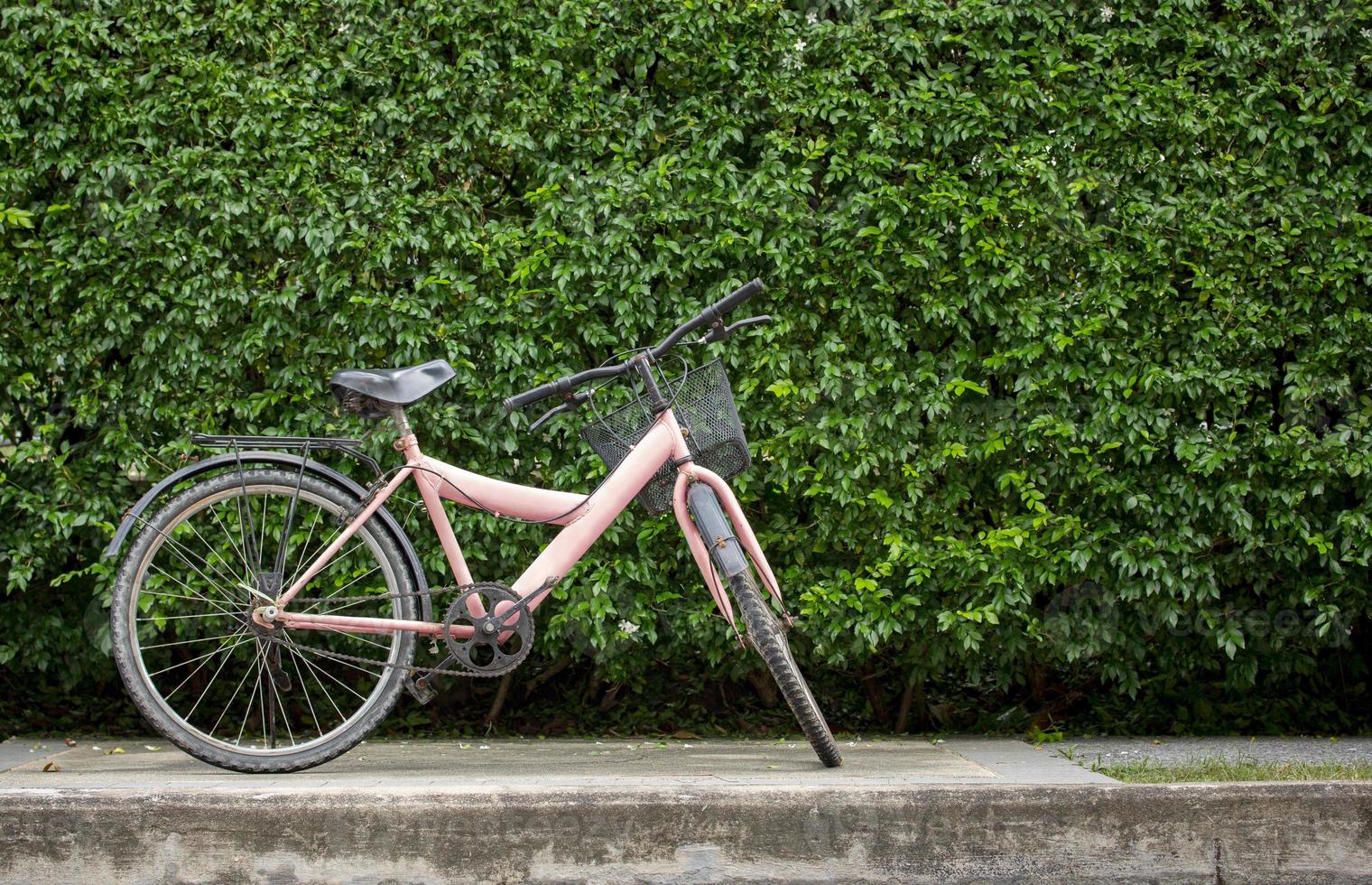 cykel på blad vägg bakgrund foto