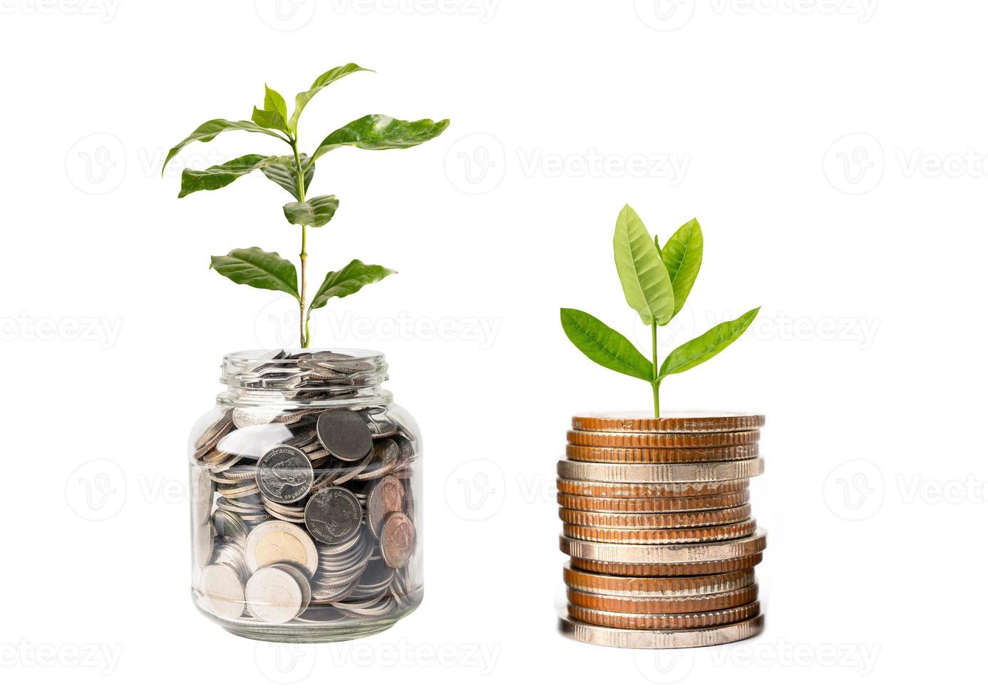 spara pengar träd växande på mynt i plast flaska, företag finansiera investering begrepp. foto