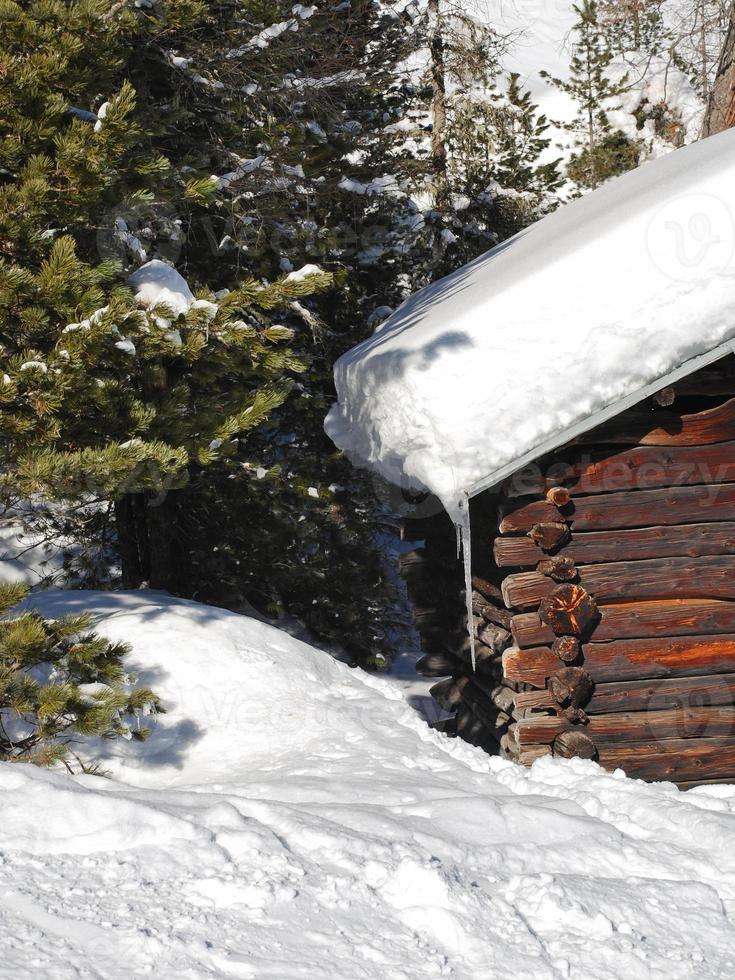 snötäckt trä hus och gran träd i dolomiter foto