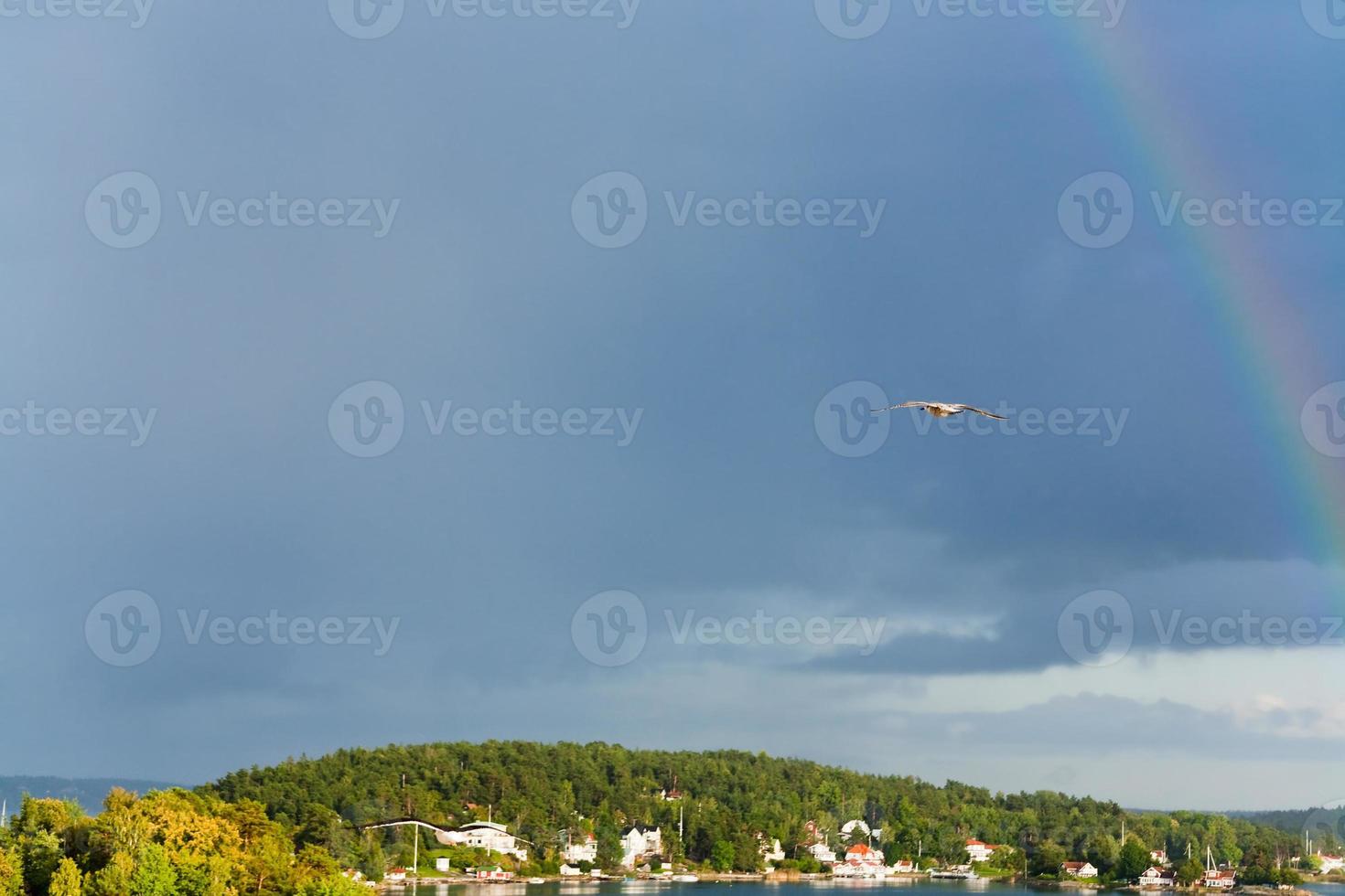 regnbåge och fiskmås i djup blå molnig himmel foto