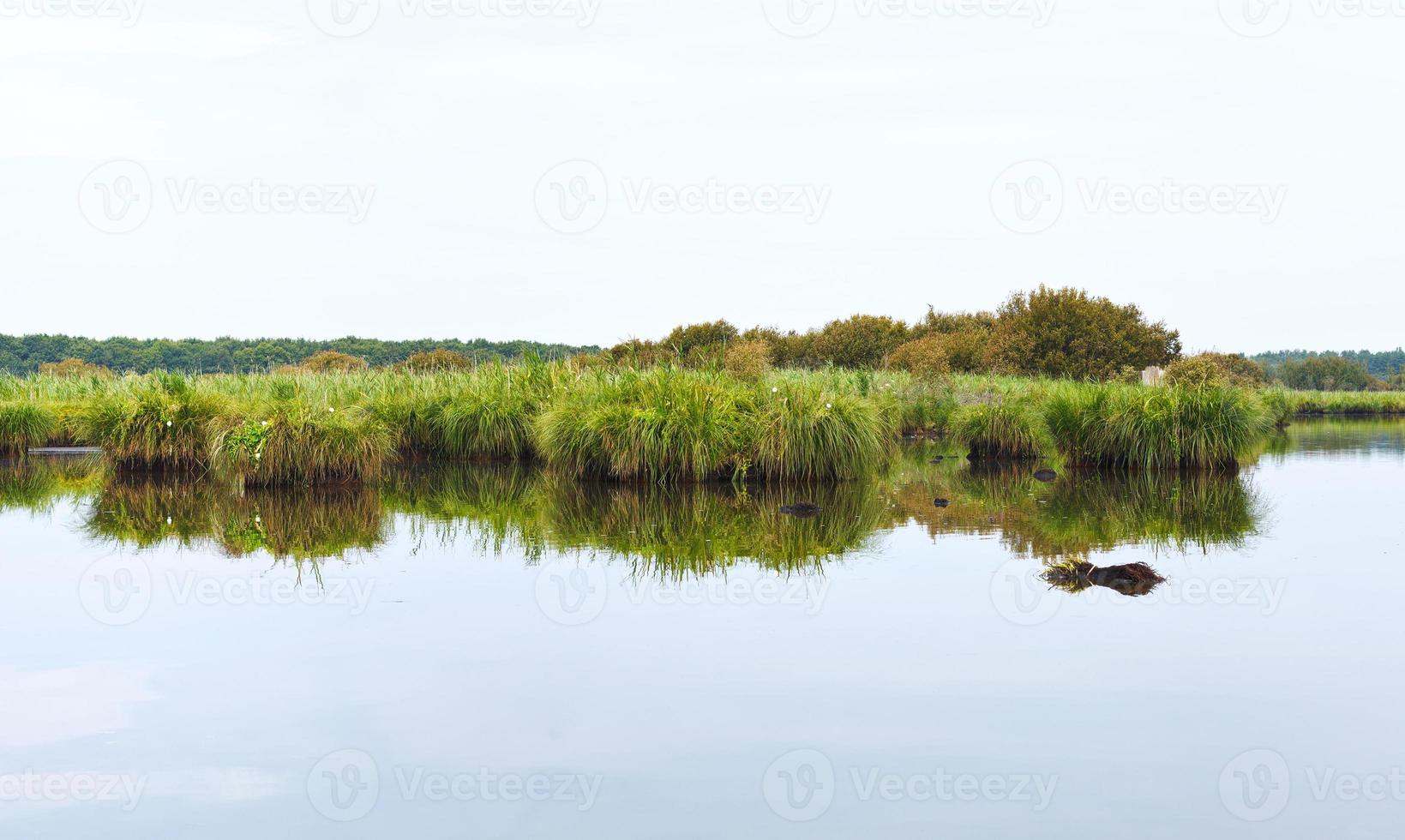 platt landsacape av briere kärr, Frankrike foto