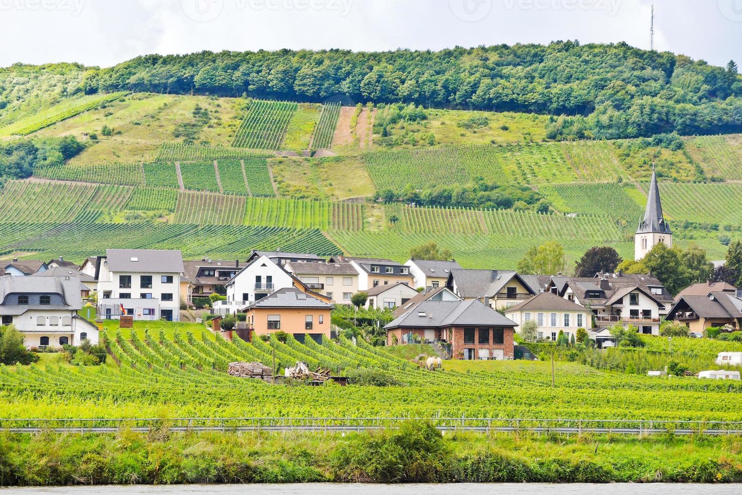 vingårdar på kullar och ellenz poltersdorf by foto