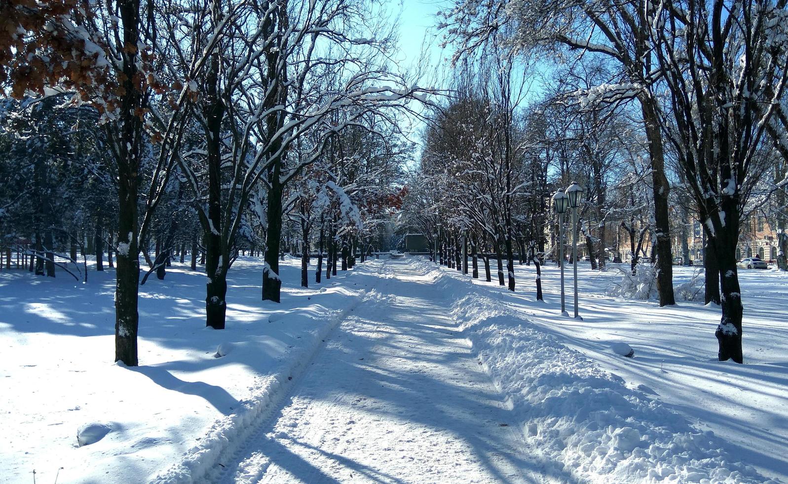 vinter- landskap. en vältrampad bred väg foto