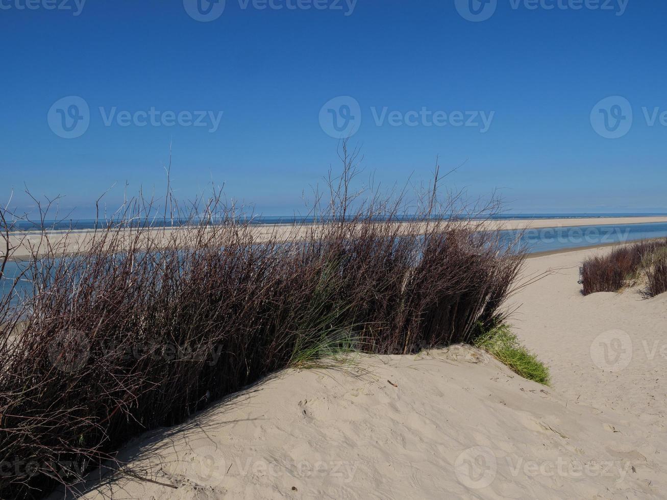 ön spiekeroog i tyskland foto