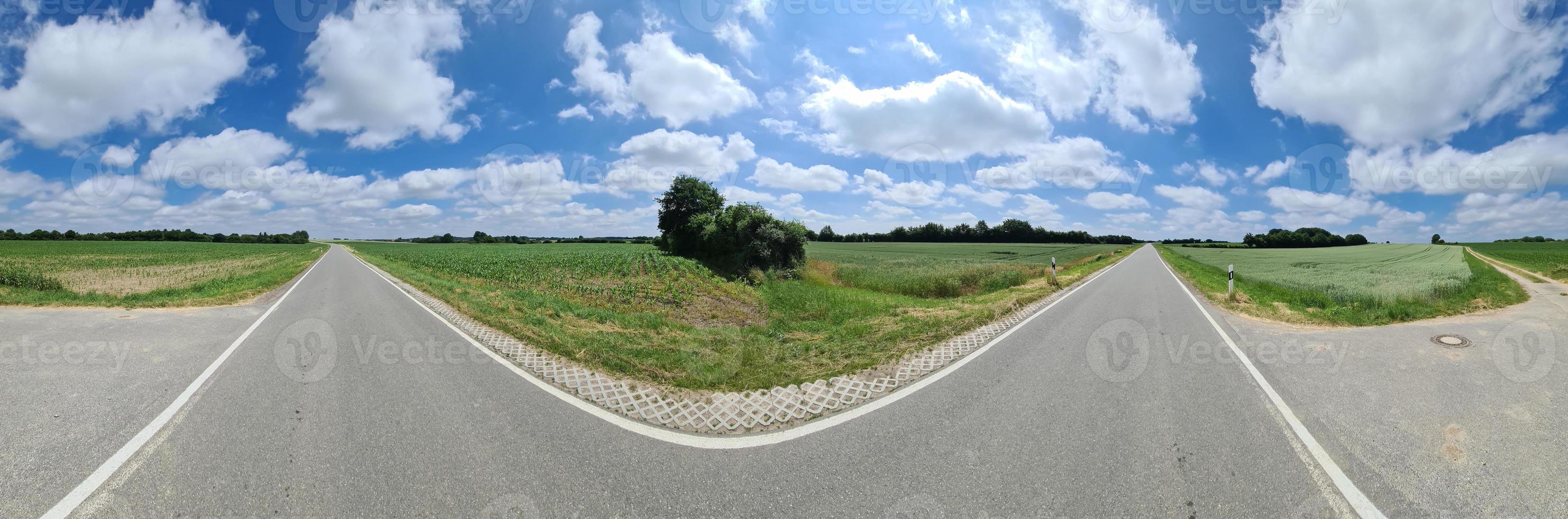 skön hög upplösning panorama av en nordlig europeisk Land väg med fält och grön gräs. foto