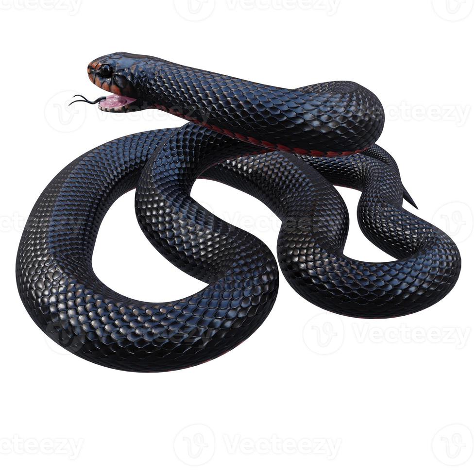 röd magad svart orm 3d illustration foto