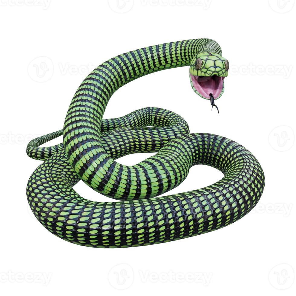 boomslang orm 3d illustration foto