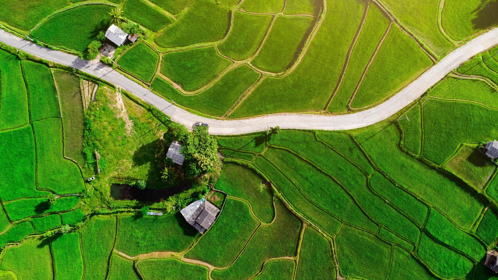 antenn se av de grön ris terrasser på de bergen i vår. skön grön område av ung ris fält eller jordbruks landa i nordlig thailand. naturlig landskap bakgrund. foto