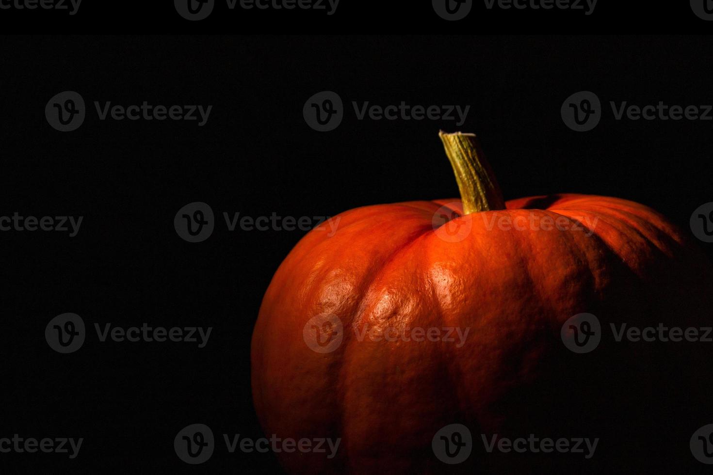 orange pumpa närbild, mönster och textur av de skala med de stjälk. bakgrund foto