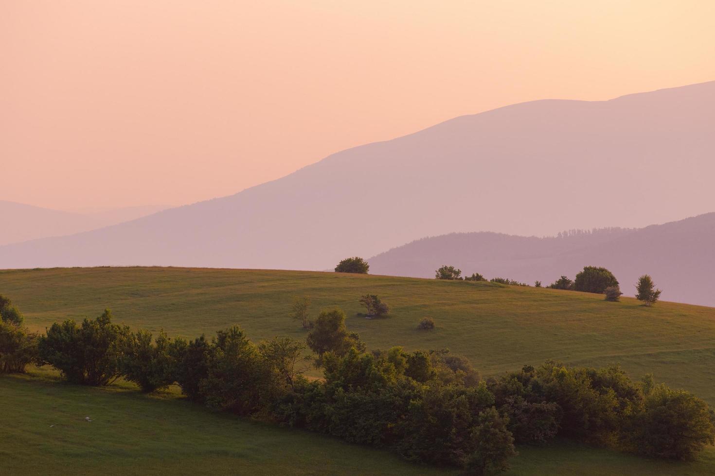 landskap natur sommar foto