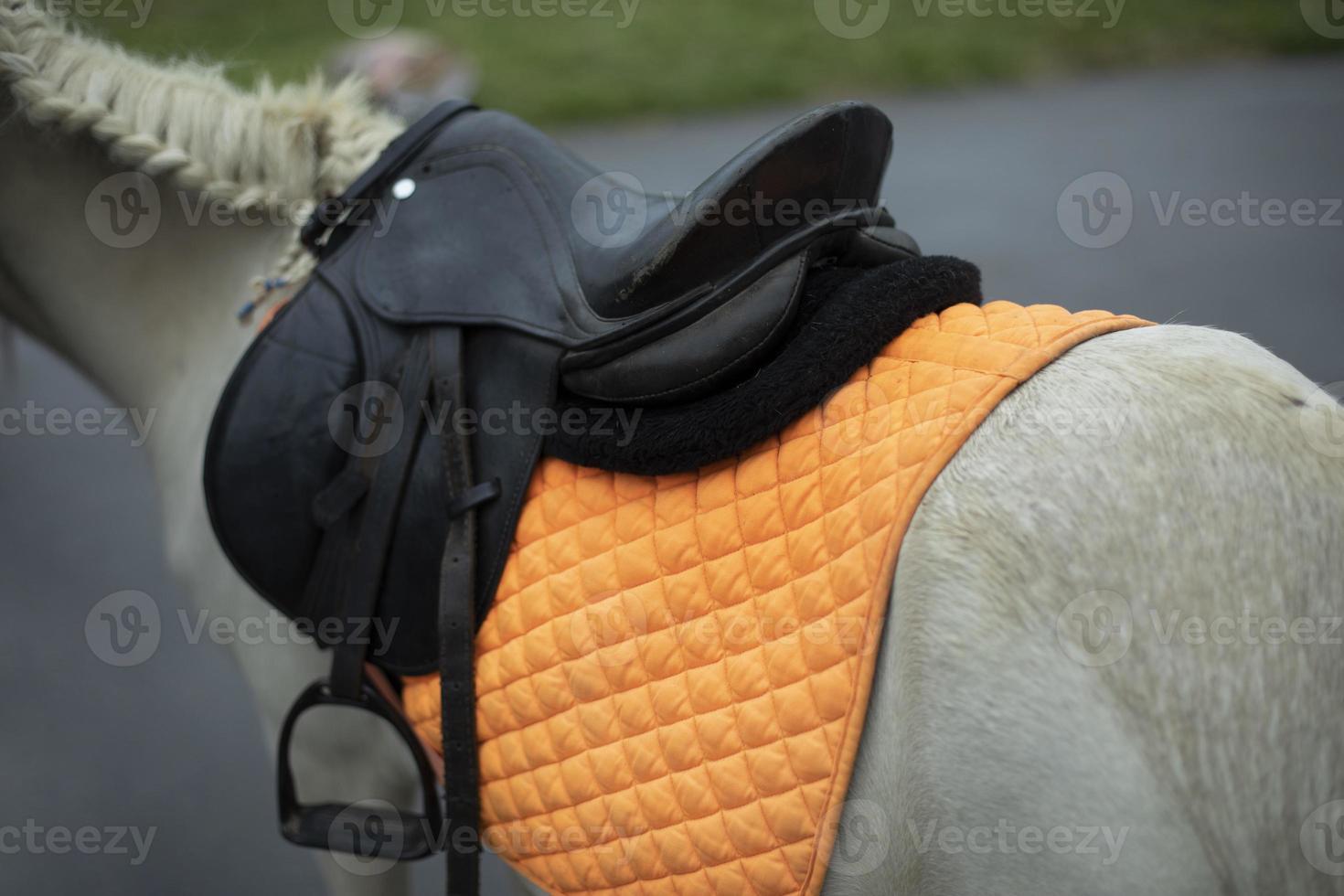 sadel på hästryggen. svart sadel på vit häst. orange cape på tillbaka av djur. foto