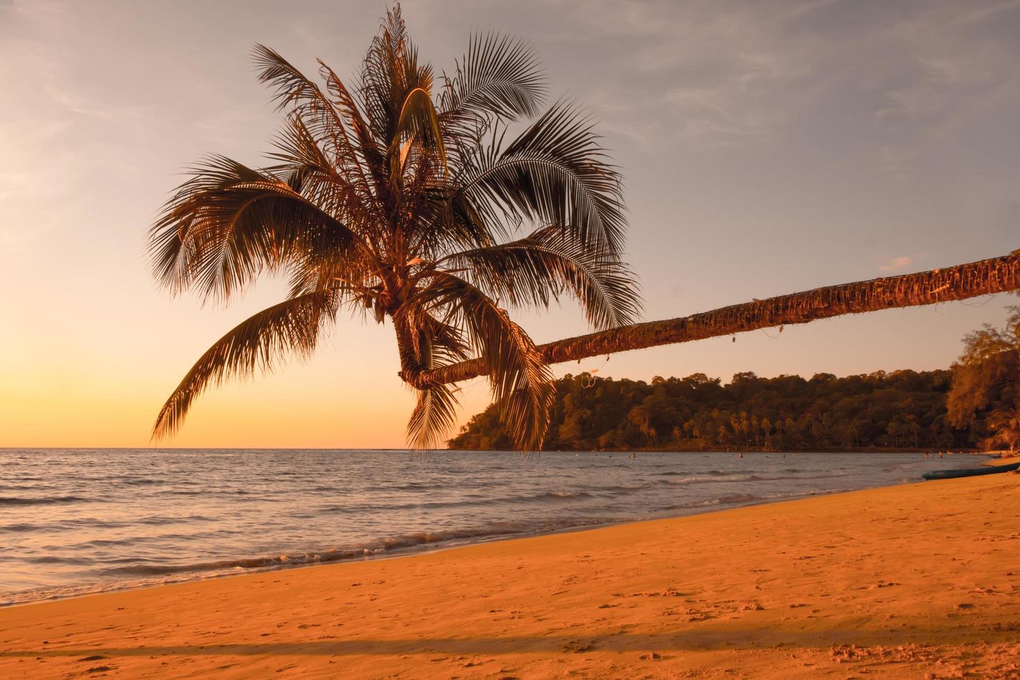 skön solnedgång över de hav med palmer träd på tropisk strand de färgrik av de himmel ovan de hav för resa och semester foto