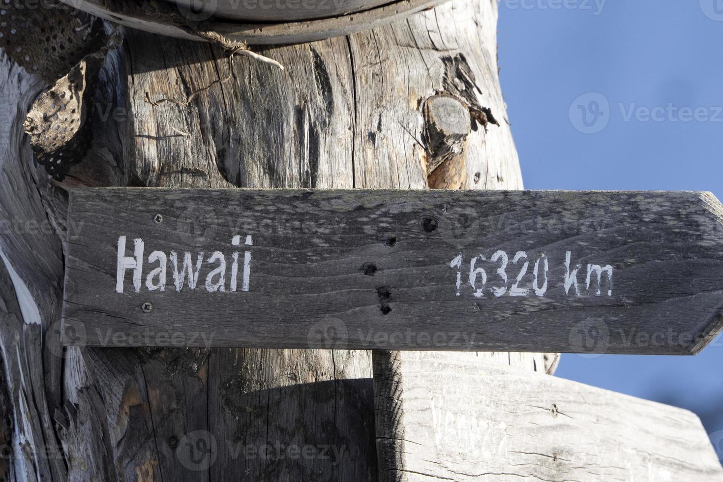 hawaii distans trä tecken på död- träd foto