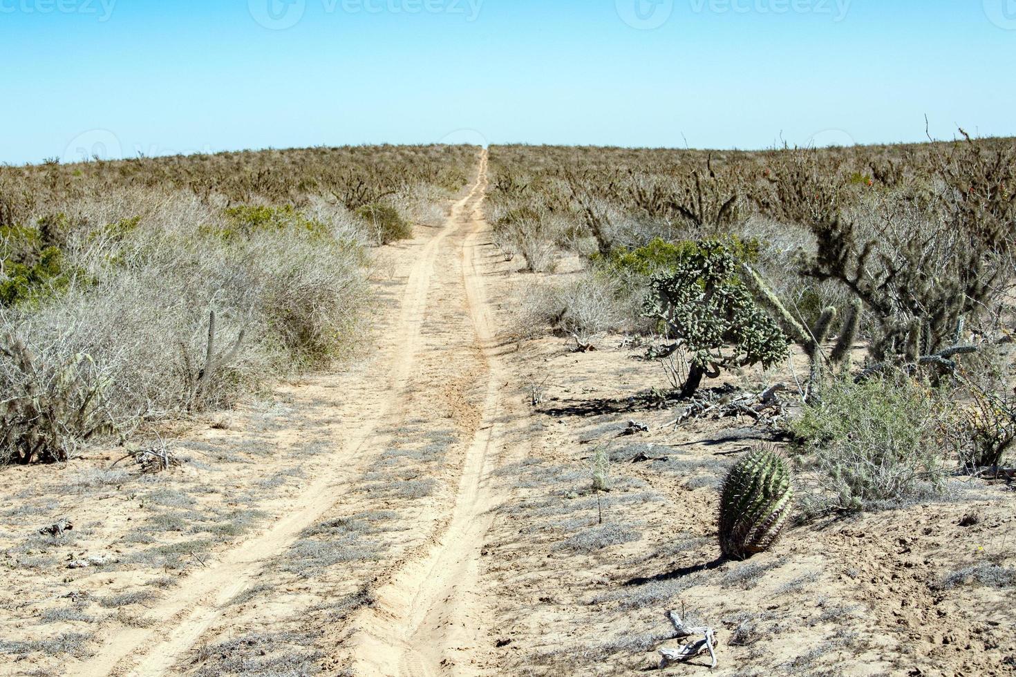 baja kalifornien öken- ändlös väg landskap se foto