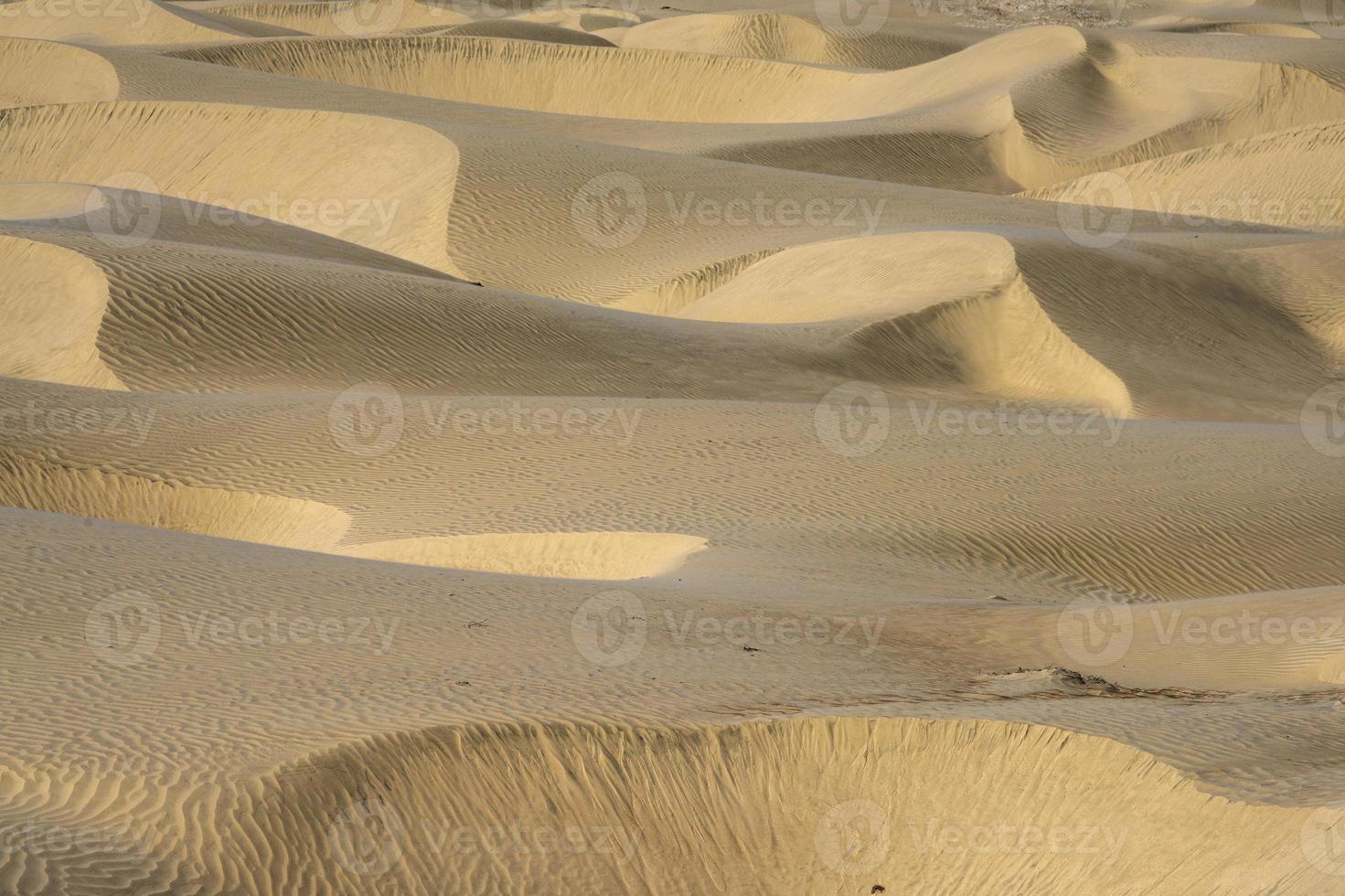 öken- sand sanddyner på solnedgång foto