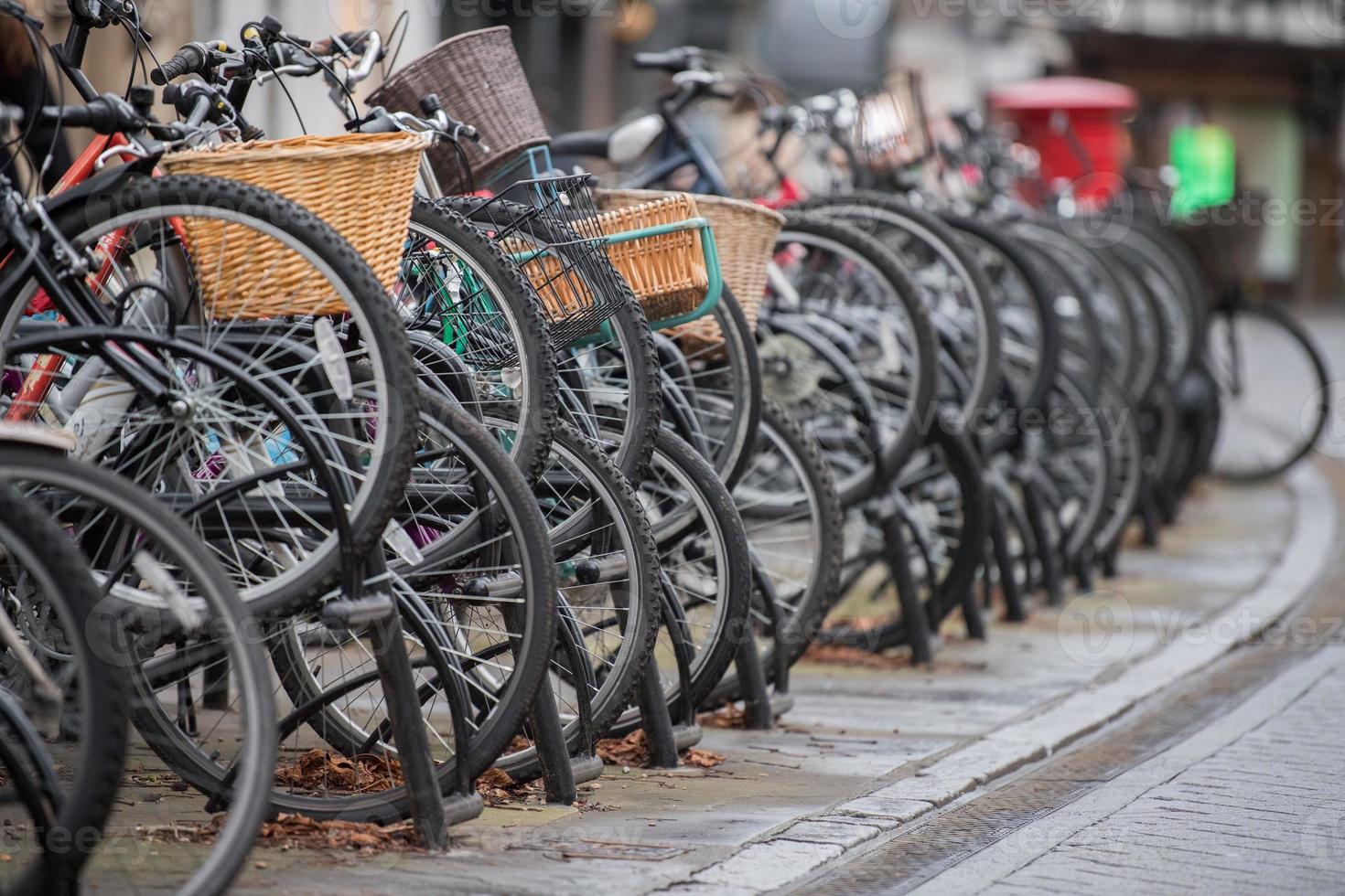 många cyklar i cambridge bra storbritannien foto