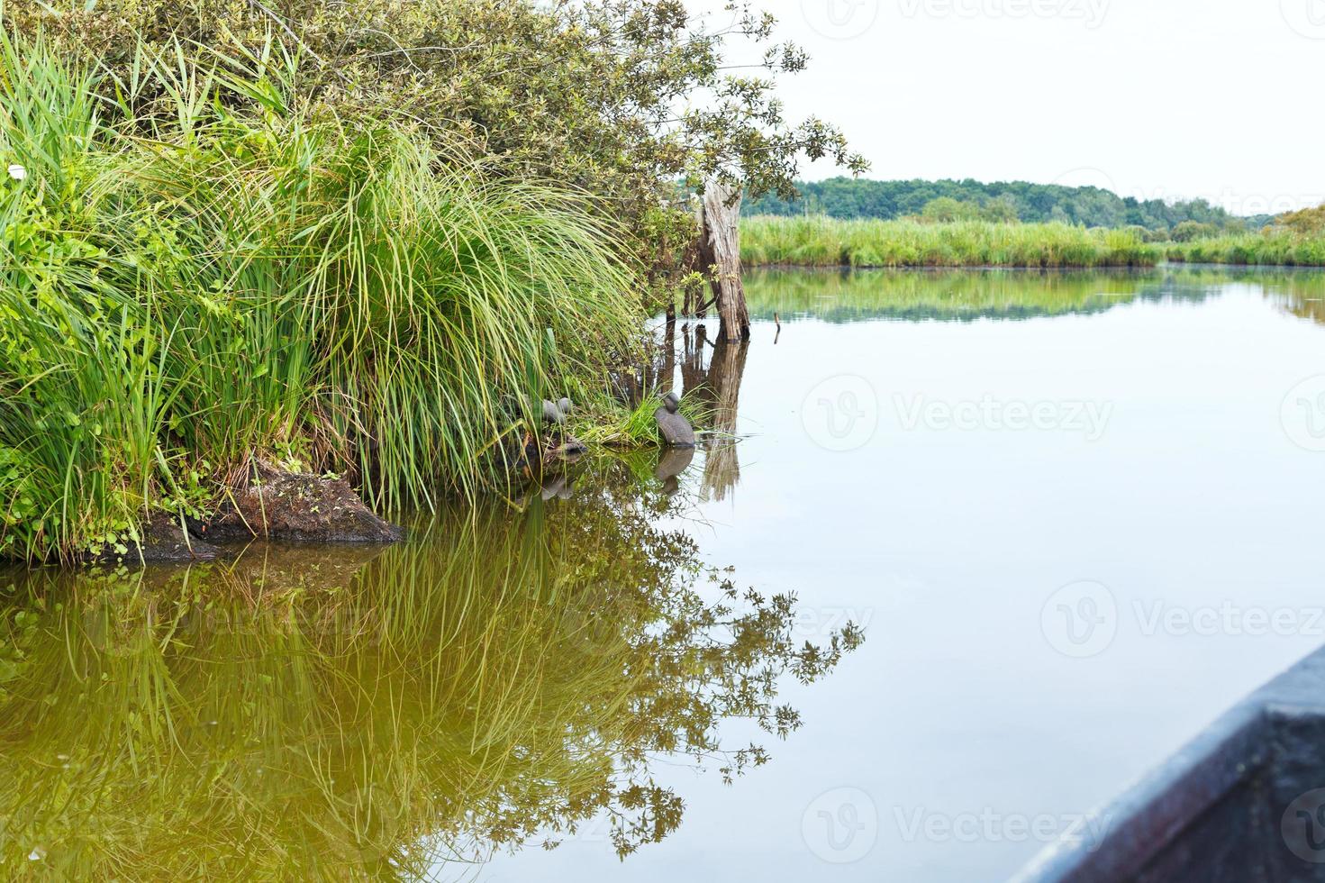 segling i briere kärr, Frankrike foto