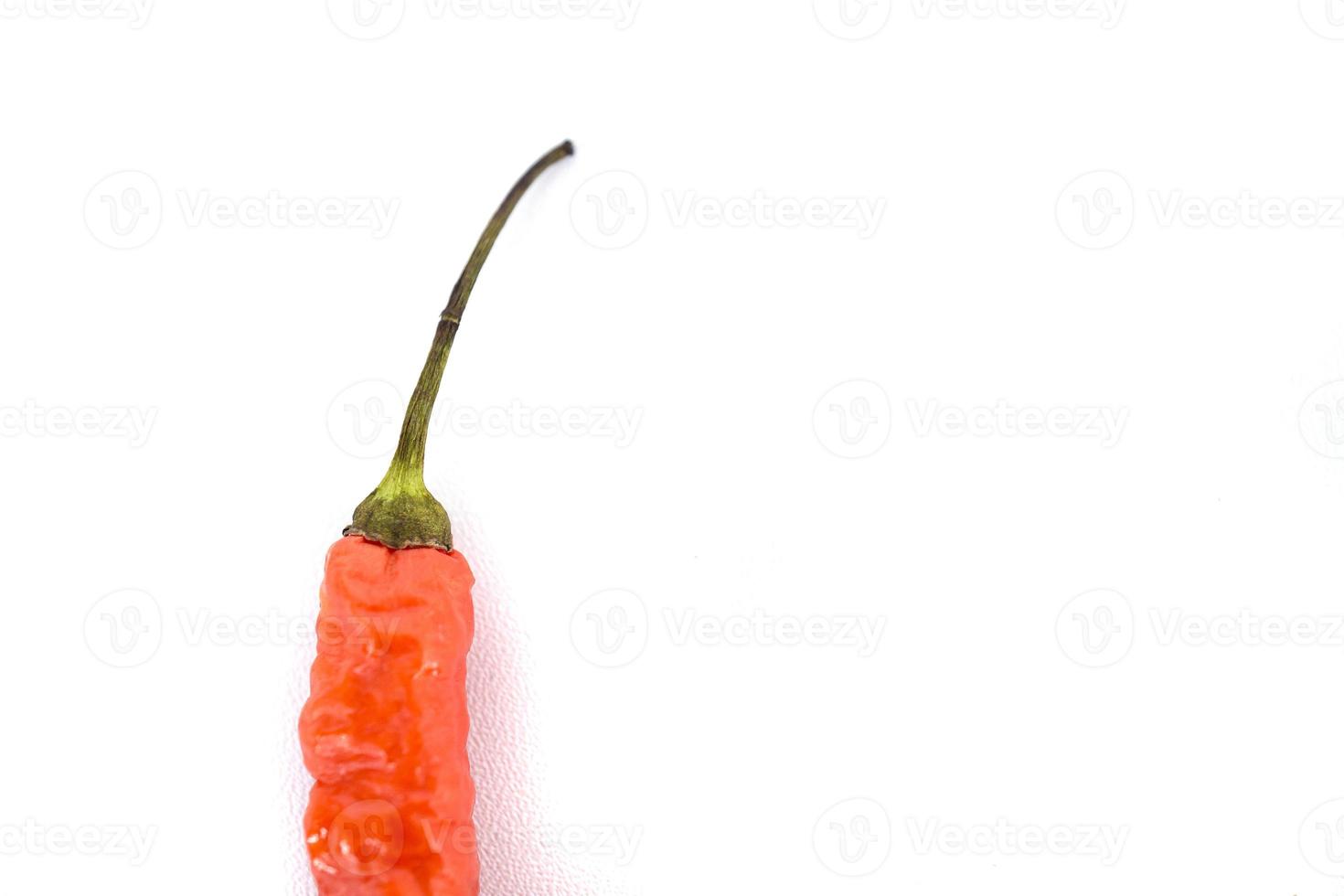 närbild av röd chili med vit tom Plats bakgrund. foto