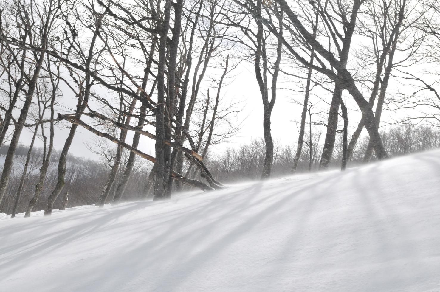 vinter- landskap se foto