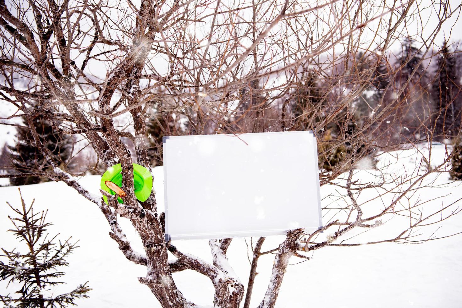 whiteboard på vinter- träd foto