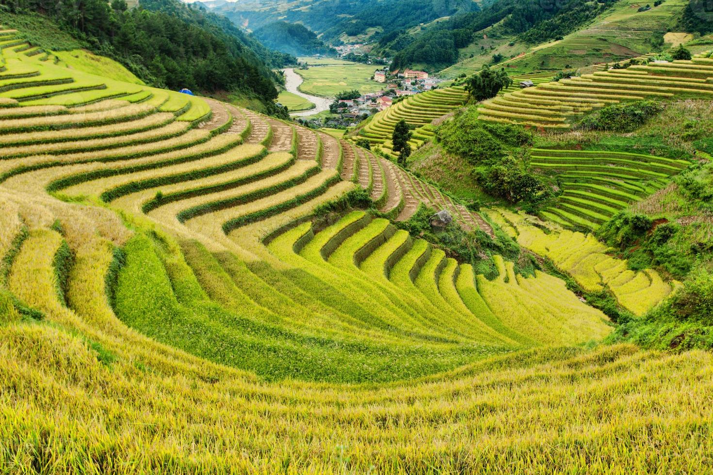 risfält på terrasserad av mu cang chai, yenbai, Vietnam foto