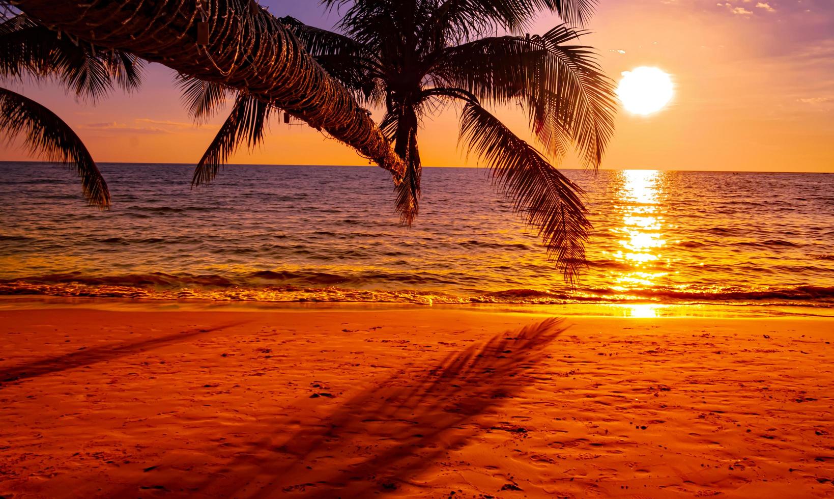 skön solnedgång på de strand med handflatan träd för resa och semester foto