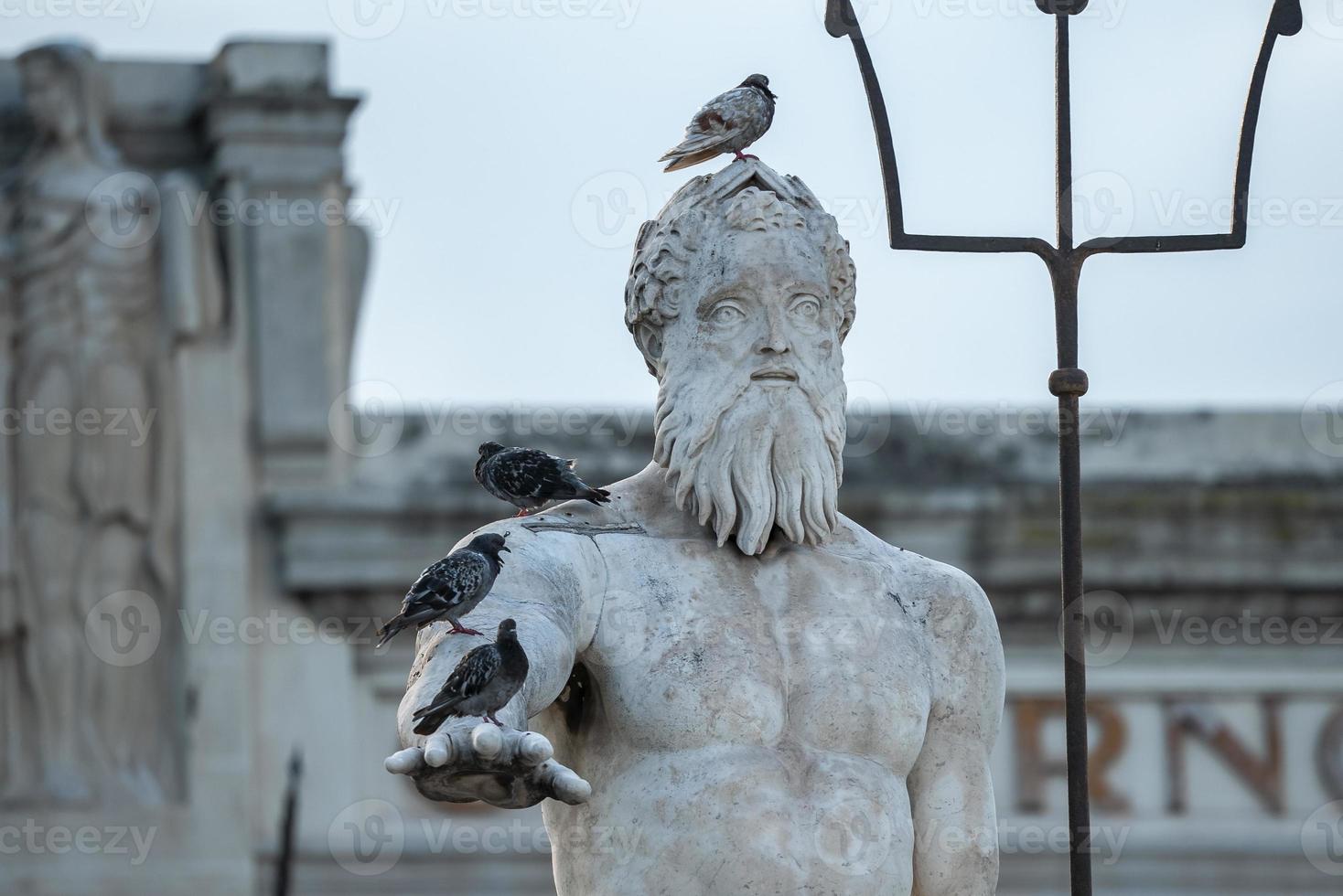 närbild av fåglar perching på känd neptune staty och fontän foto