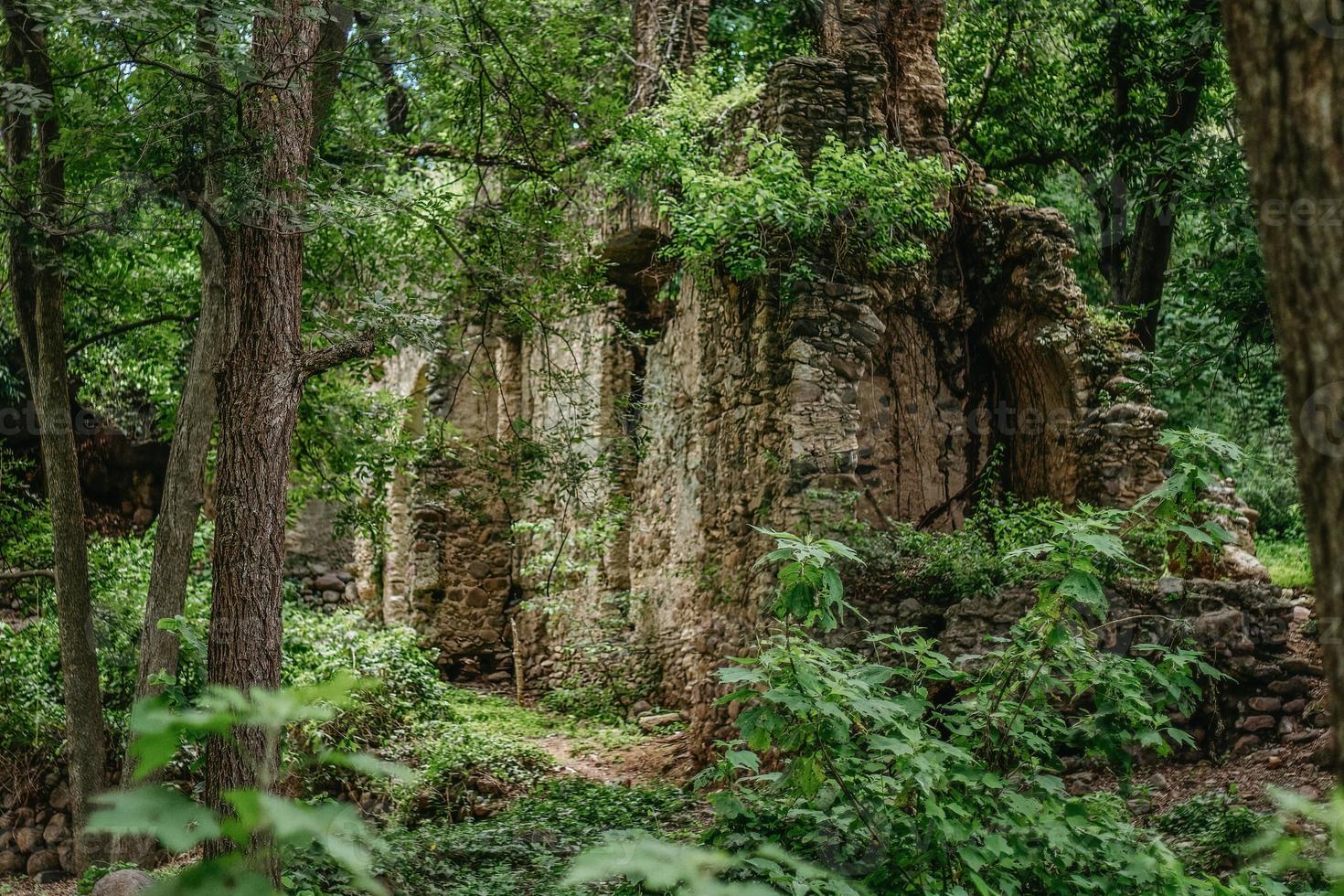 djungel landskap med mexikansk ruiner i xichu guanajuato foto