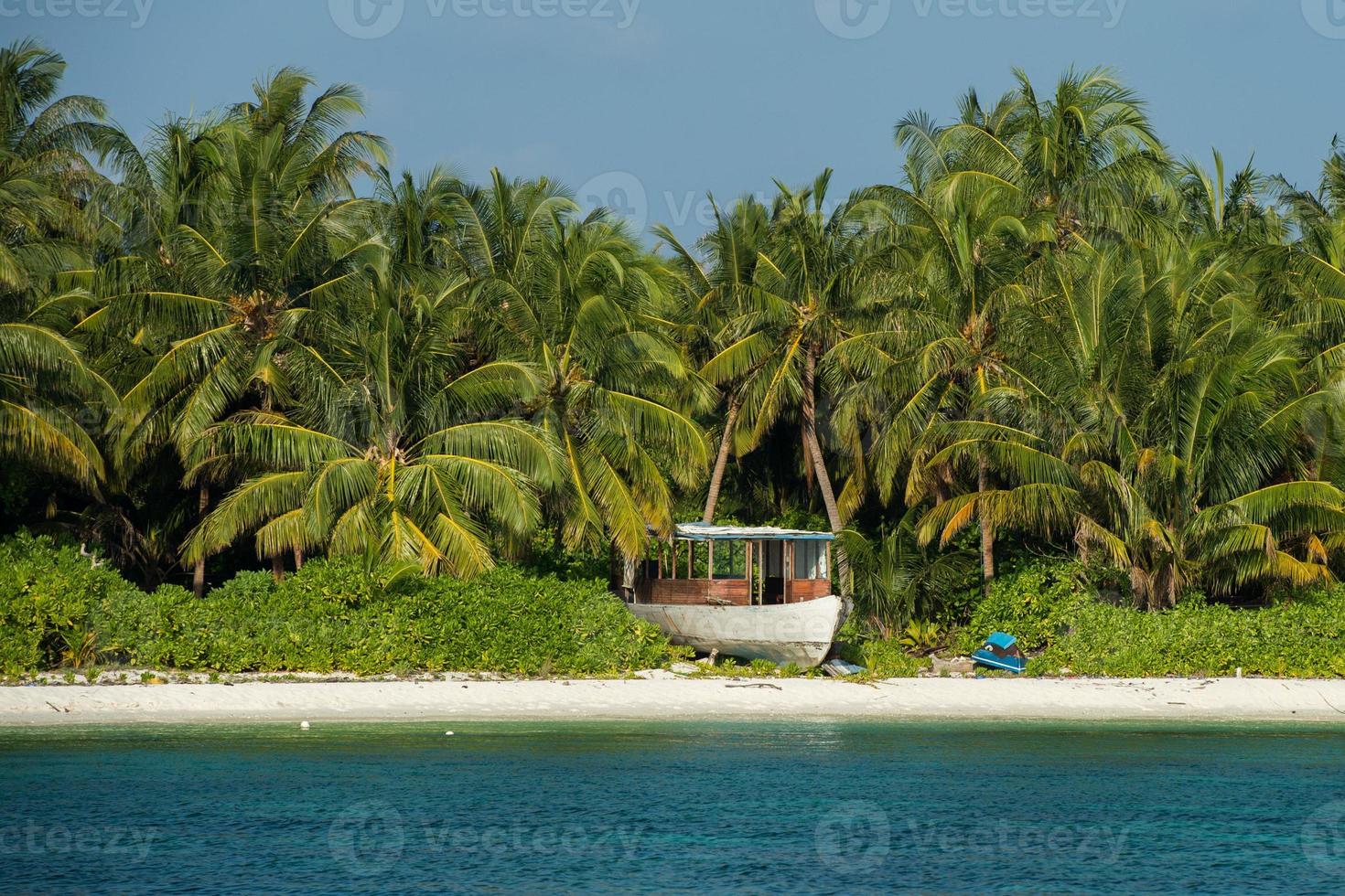 maldiverna tropisk paradis strand kristall vatten kokos träd ö foto