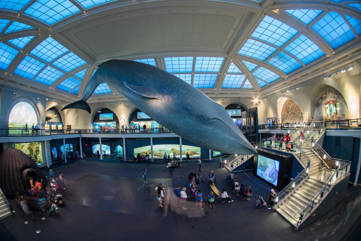 ny york, USA - april 21 2017 - turist och barn besöker naturlig historia museum foto