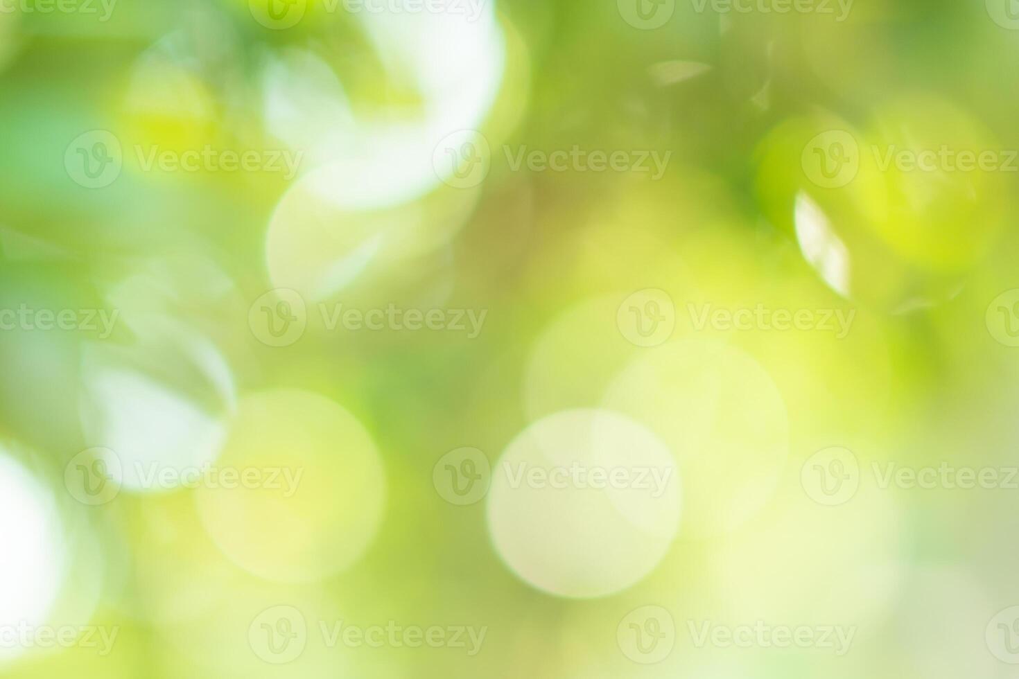 naturligt ljus bokeh foto