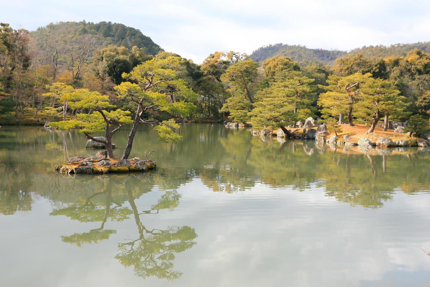 japansk trädgård vid berömda kinkakuji foto