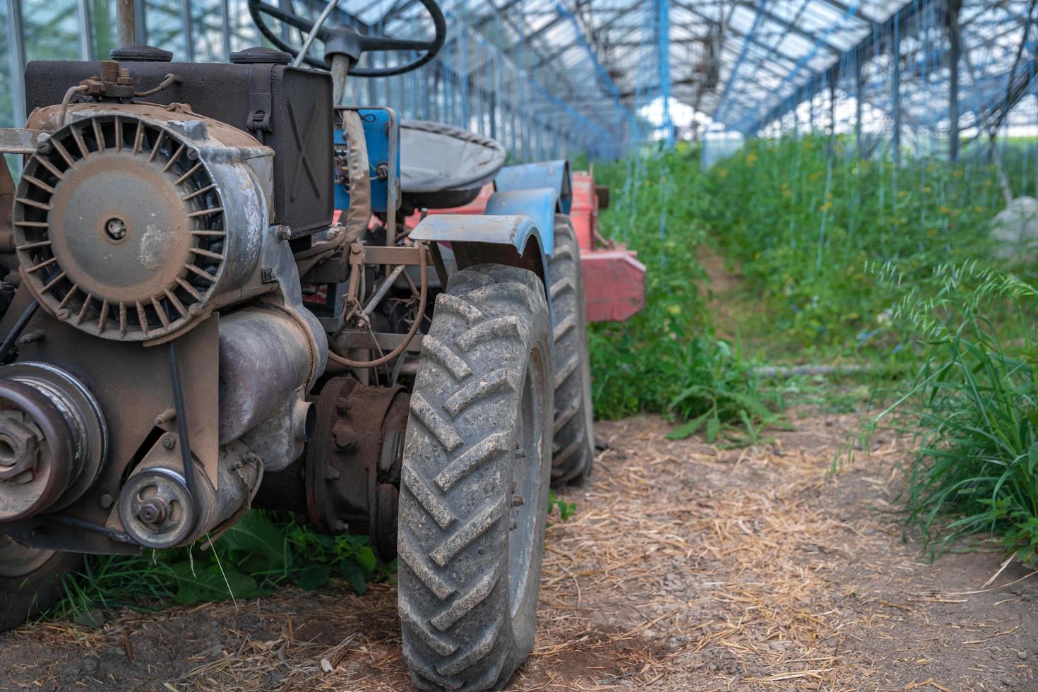 liten gammal traktor i fältet på en ekologisk gård foto