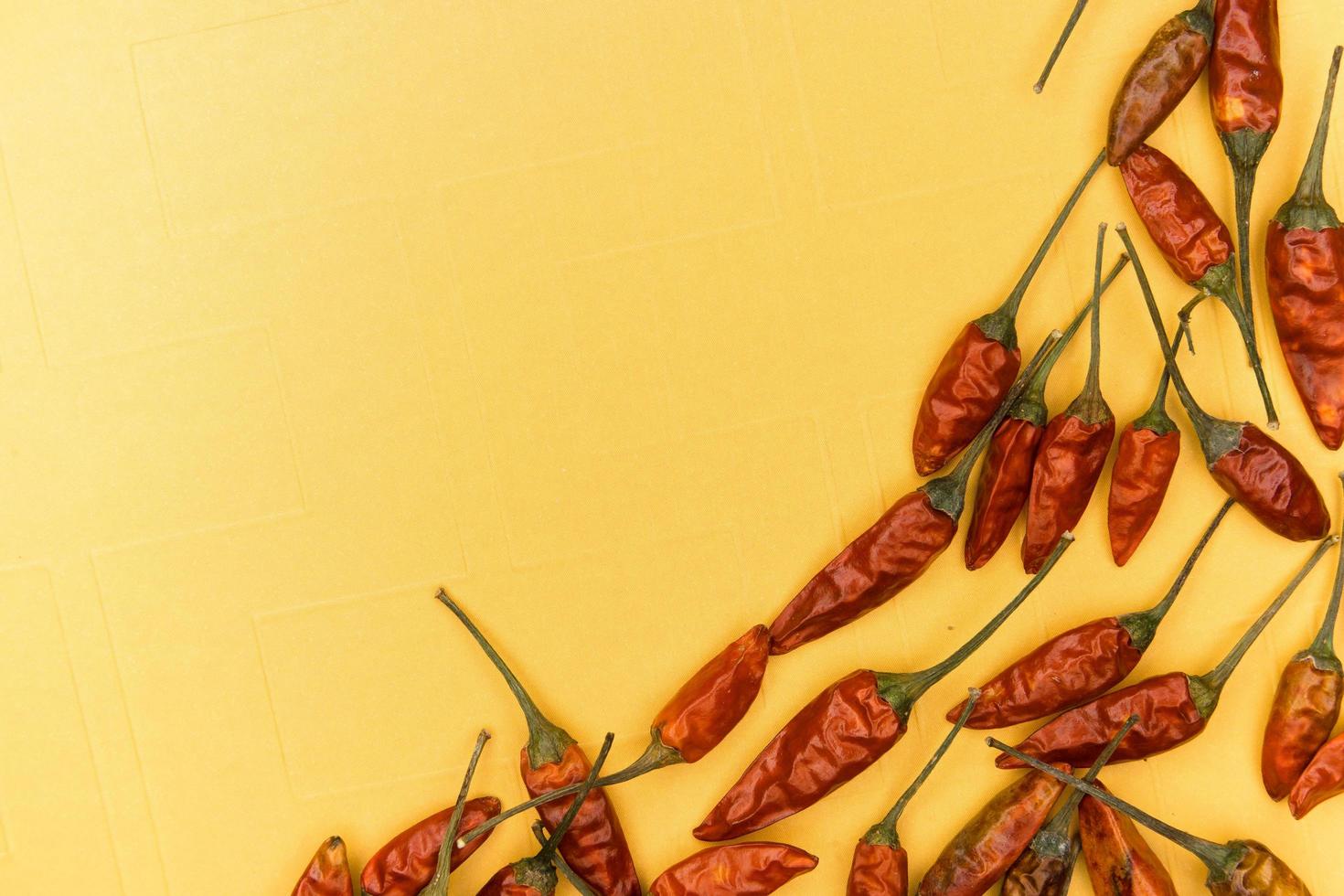 röd torkade chilipeppar på gul bakgrund foto