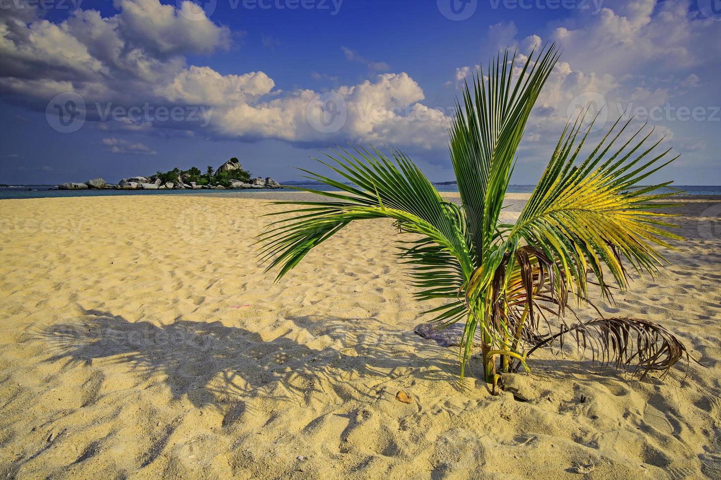 kepayang ö belitung foto