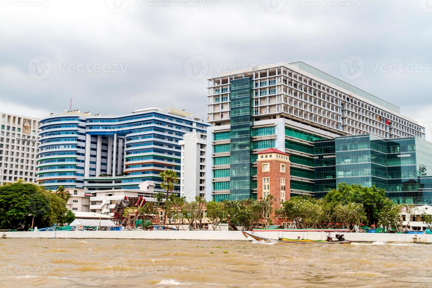 fåglar öga se av bangkok foto